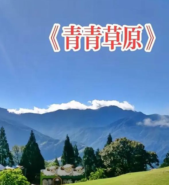 天天爽夜夜爽青青草原