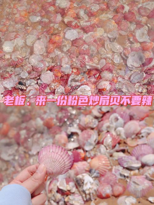 抠粉色扇贝