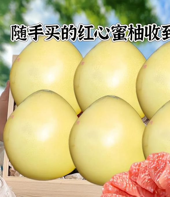 蜜柚1.0.1安卓版