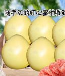 蜜柚1.0.1安卓版