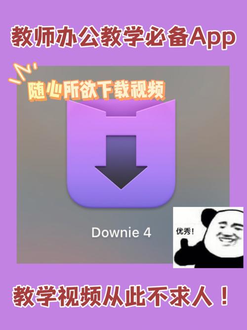 成版人短视频app