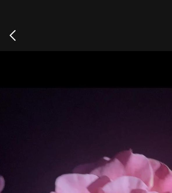 美好的夜晚花季在线