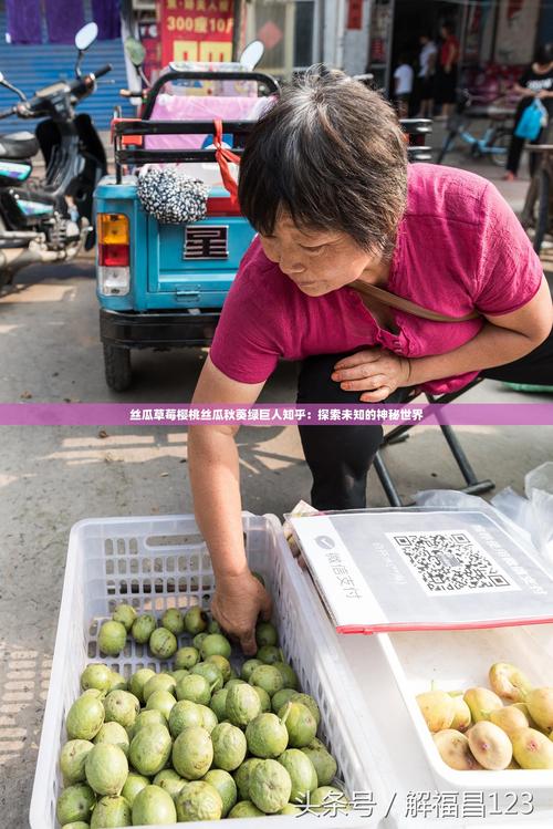 绿巨人秋葵樱桃小丸子黄瓜