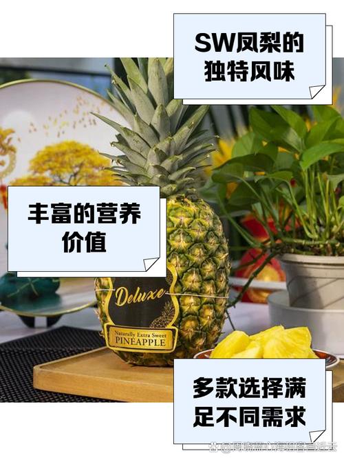 福建大菠萝导航2025导入weloccm