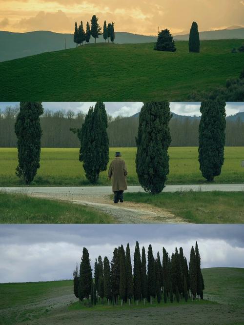 全程都很黄尺度大的电影