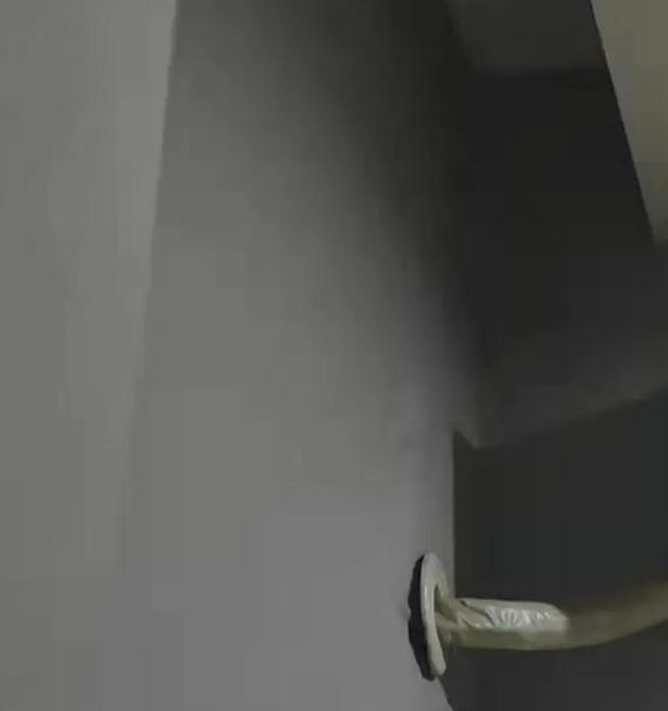 绿巨人草莓茄子榴莲幸福宝