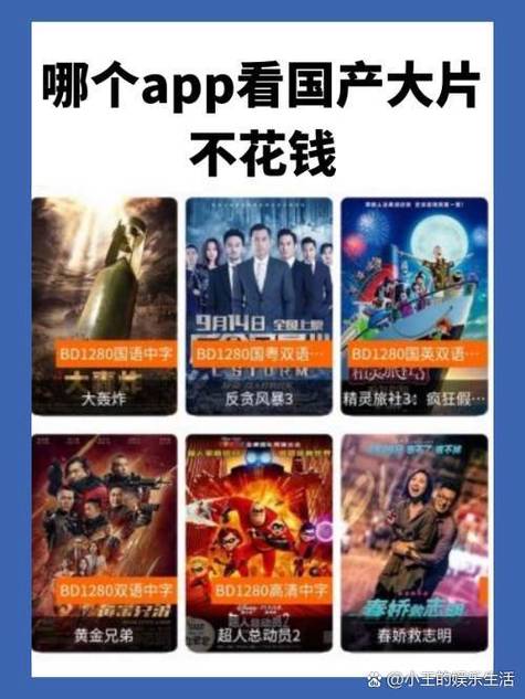 懂片帝app在线播放