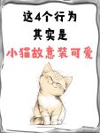 猫咪官网官方有我足矣2021