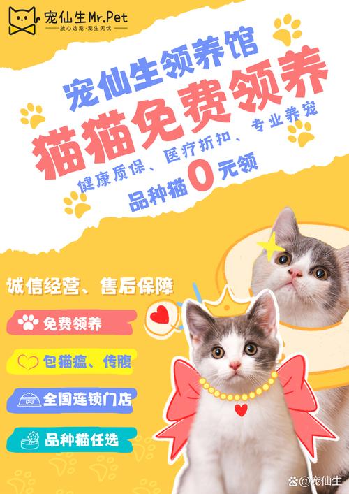 猫咪官网官方有我足矣2021