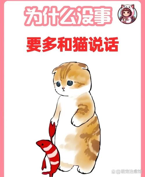 猫咪官网官方有我足矣2021