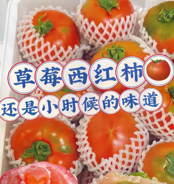 草莓秋葵榴莲西红柿视频ios