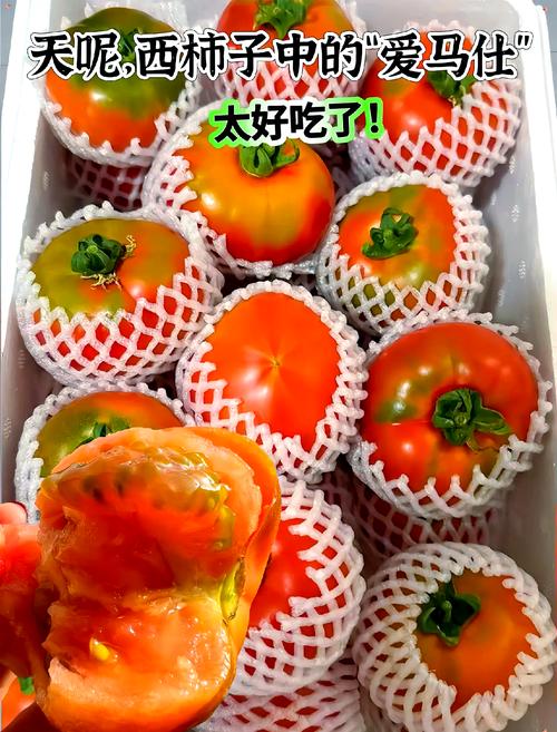 草莓秋葵榴莲西红柿视频ios