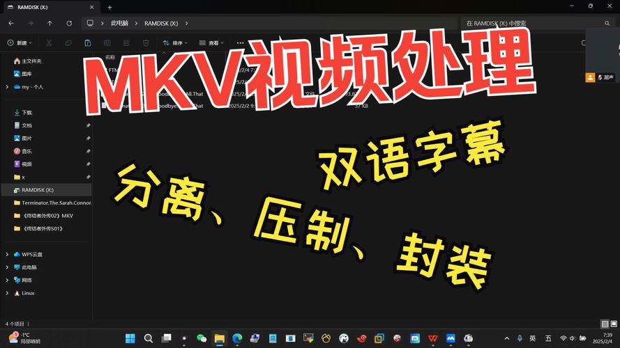 xvideos中文版视频入口