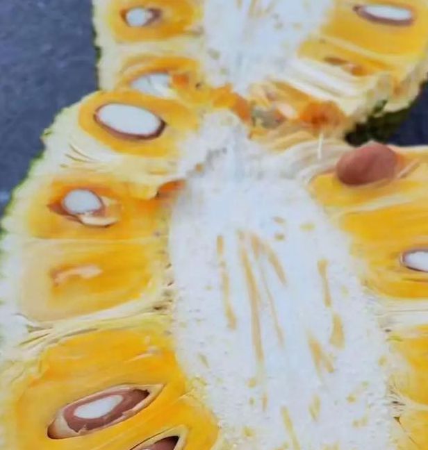 菠萝蜜视频进入通道