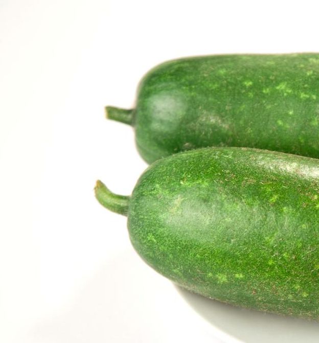 冬瓜视频1.0.1安卓版