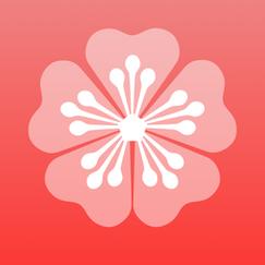 梅花视频安卓免费版