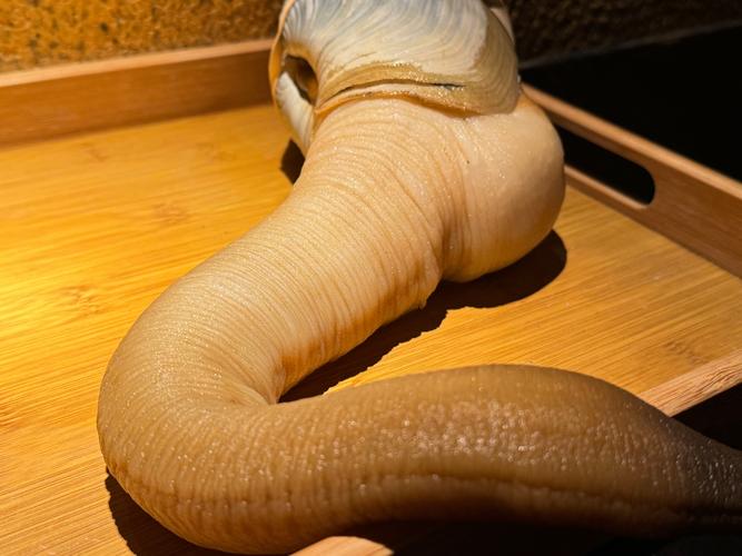 象拔蚌app最新版下载