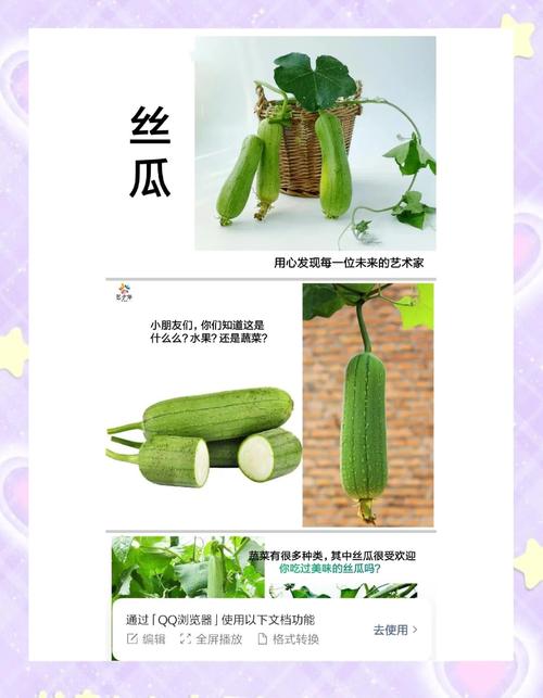 丝瓜绿巨人芭乐香蕉