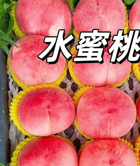 水蜜桃