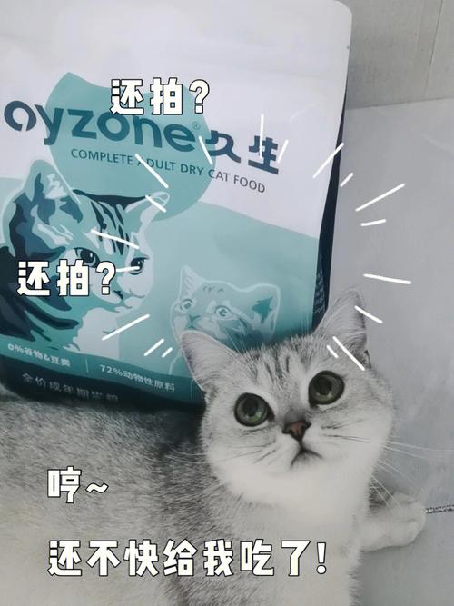 肥宅快乐源泉开车必备资料蓝奏云