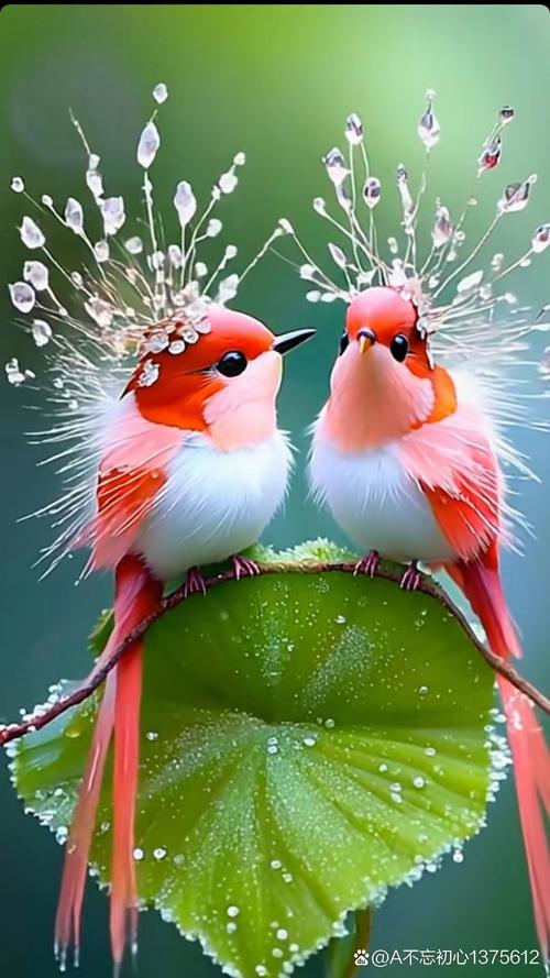 爱情鸟论坛com高清免费下载