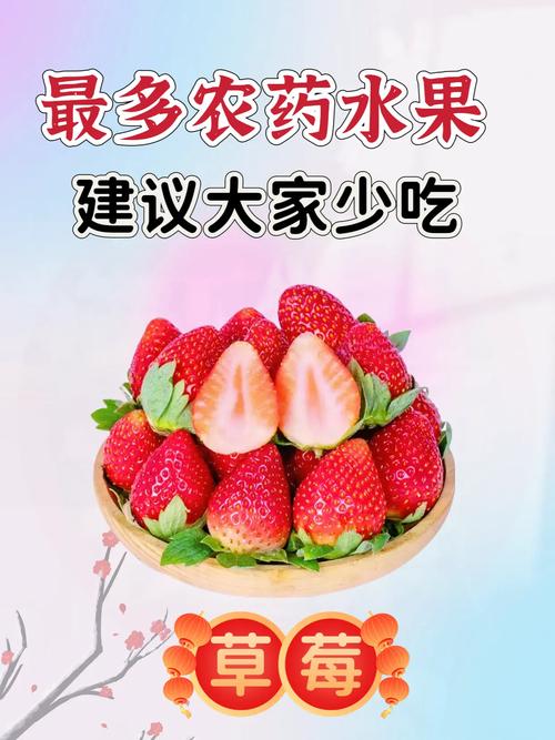 草莓苹果西瓜荔枝榴莲最新版