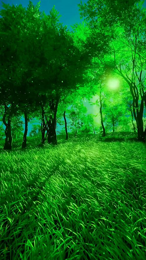 仙踪林视频最新版