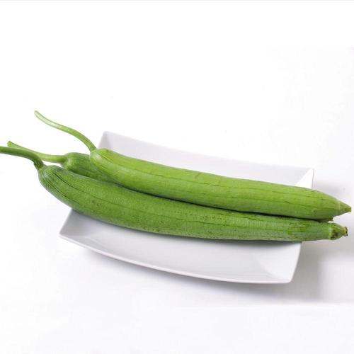 丝瓜视频ios下载安装无限看-丝瓜ios视频湖南教育