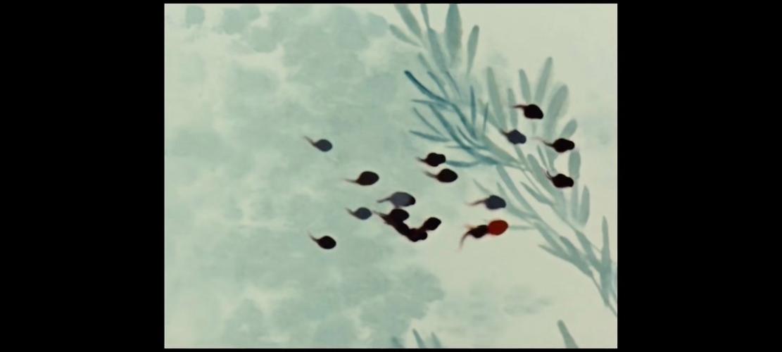 小蝌蚪视频在线观看免费