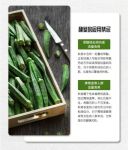 秋葵榴莲丝瓜向日葵绿污色