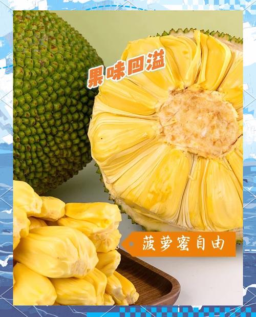 菠萝蜜视频国际加速安卓版