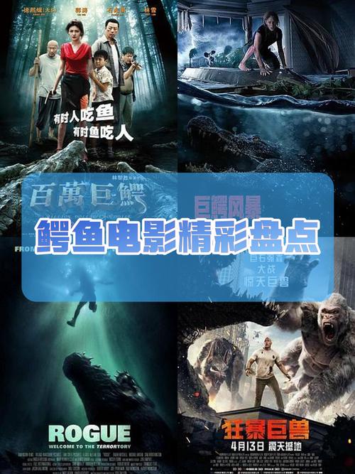 鳄鱼影视安卓版