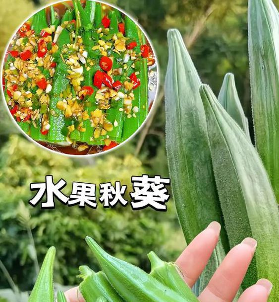 樱桃香蕉石榴秋葵