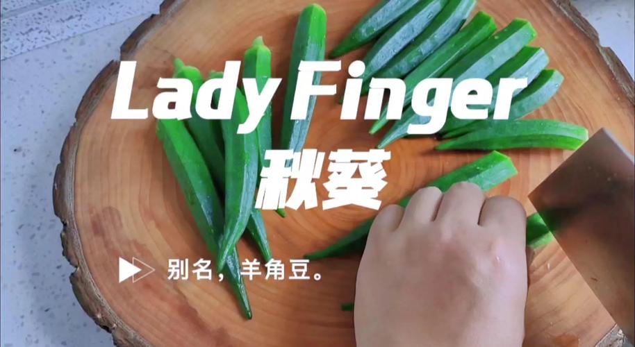 丝瓜app汅api免费秋葵在线