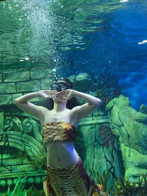 美人鱼社区华人中文一区