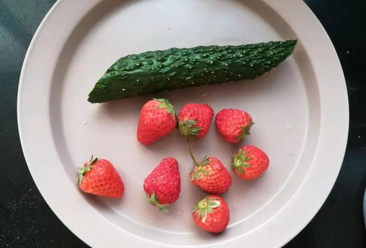 草莓黄瓜香蕉茄子番茄污无限观看