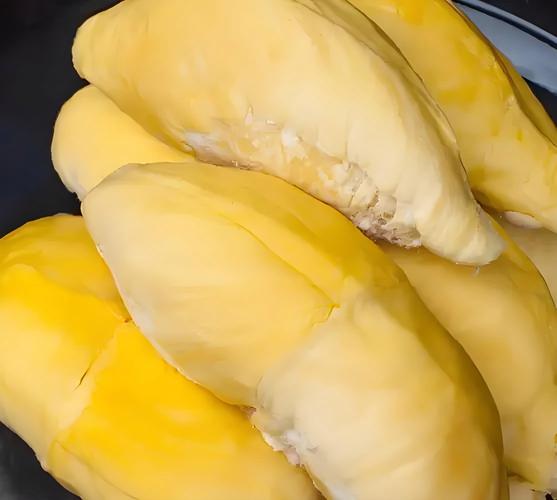 榴莲视频正版免费版