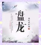 盘龙 小说