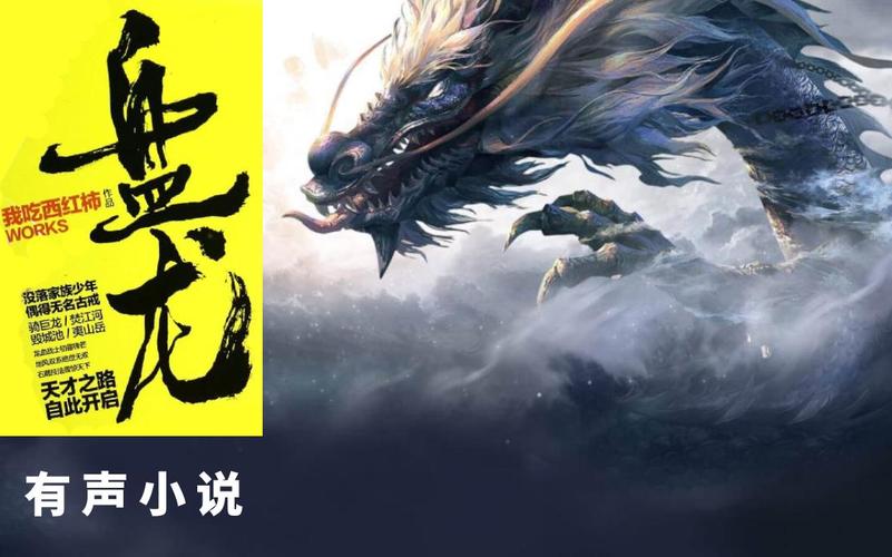 盘龙 小说