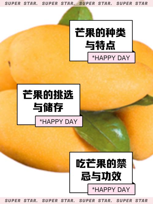  芒果精品1区2区3区4区