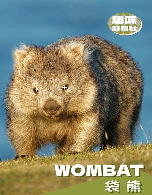 袋熊视频app下载2021