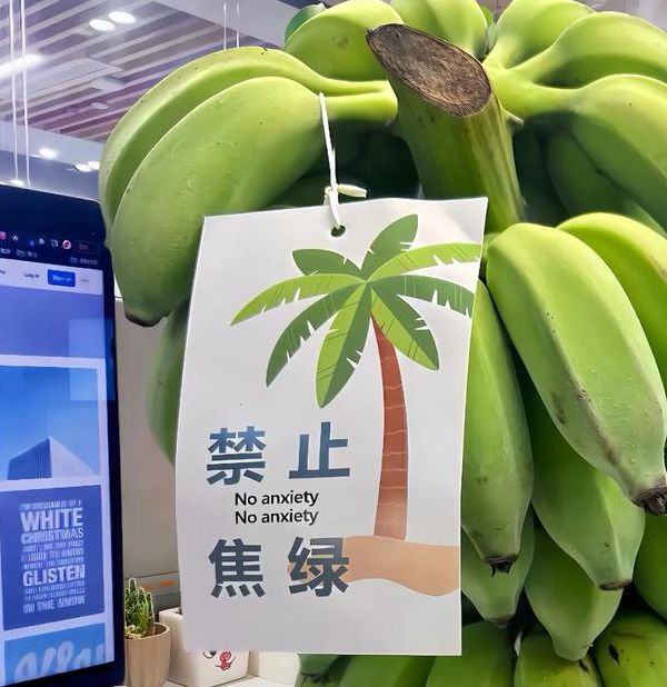 草莓香蕉绿巨人榴莲