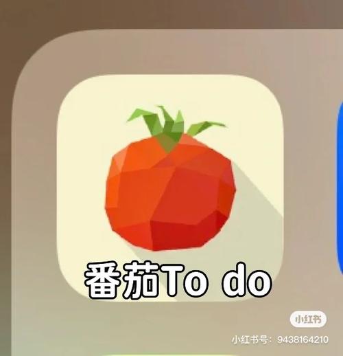 番茄todo在线视频