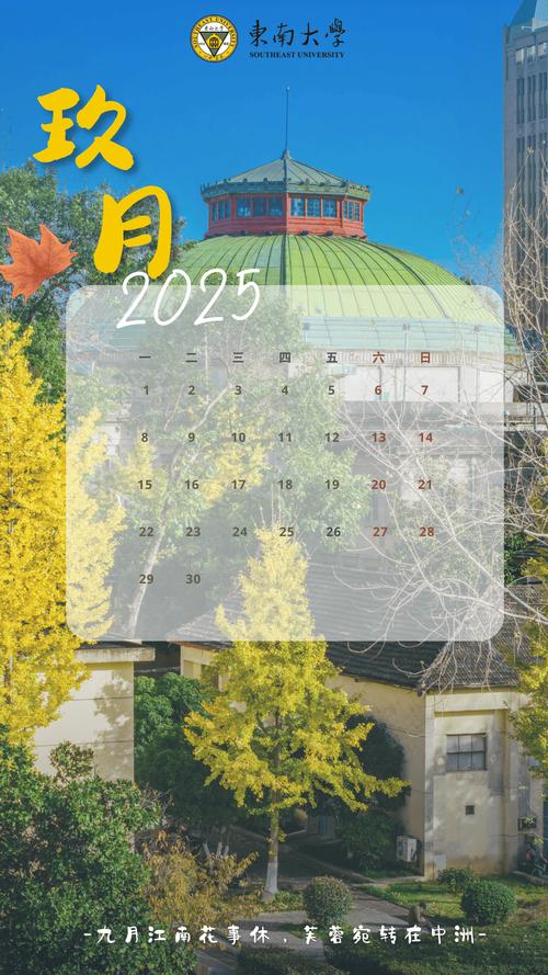 2025最新免费视频