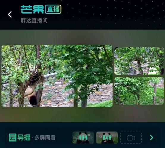 芒果视频可以每天观看15次