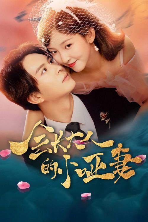 孝兴 电视剧免费版在线观看