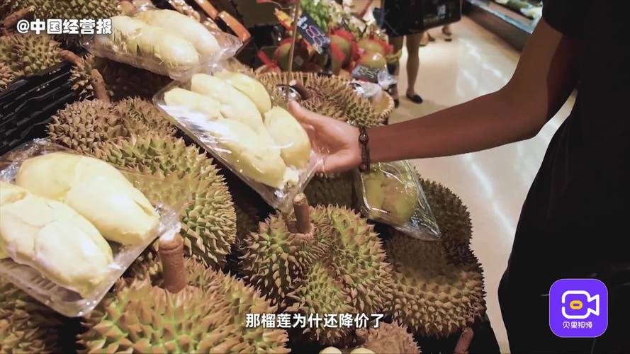 秋葵视频草莓视频丝瓜视频榴莲绿巨人