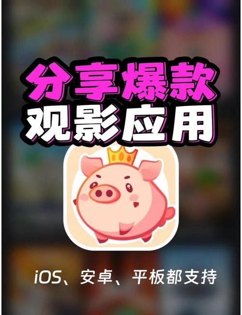 汉堡影视软件ios