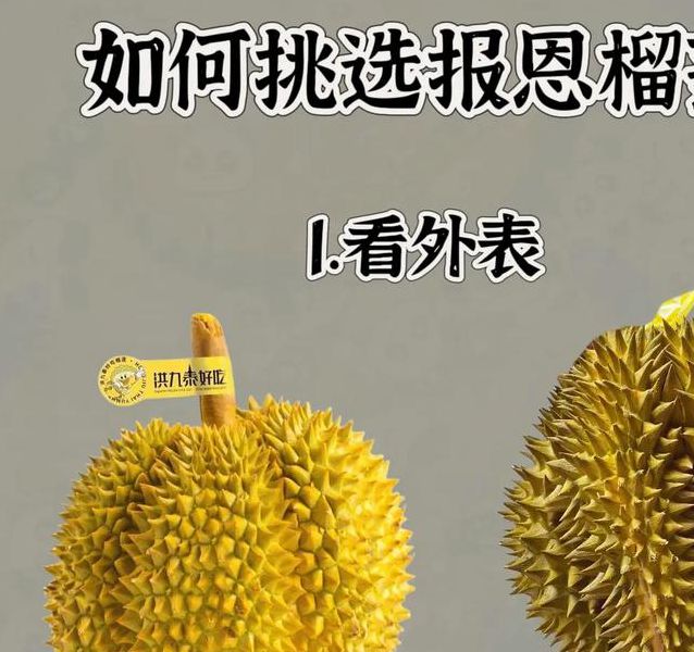 榴莲combo30深夜释放自己