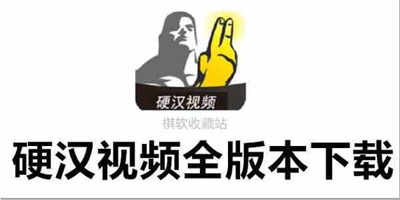 硬汉视频官网app